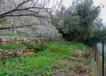 Giardino - Villa via altofonte
 
221, Palermo - foto 41