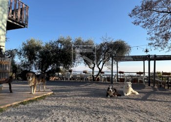 Foto 7 - Agriturismo Via Castello
10, Toscolano-Maderno - foto 7