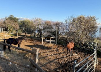 Foto 9 - Agriturismo Via Castello
10, Toscolano-Maderno - foto 9