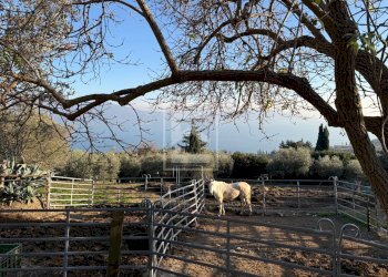 Foto 25 - Agriturismo Via Castello
10, Toscolano-Maderno - foto 25