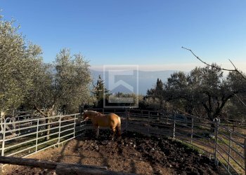 Foto 26 - Agriturismo Via Castello
10, Toscolano-Maderno - foto 26