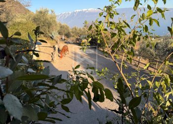 Foto 29 - Agriturismo Via Castello
10, Toscolano-Maderno - foto 29