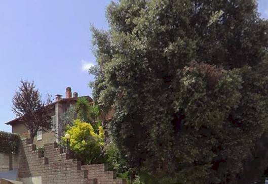 Foto 1 - Independent house Strada Provinciale 159 delle Collacchie
 
503, Grosseto - photo 1