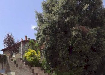 Foto 1 - Casa indipendente Strada Provinciale 159 delle Collacchie
 
503, Grosseto - foto 1