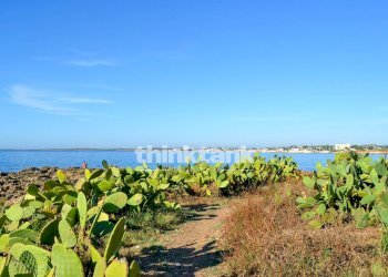 Foto 53 - Villa a Schiera Viale sicilia, Noto - foto 53