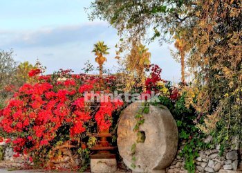 Foto 8 - Rustic SS115 Km4, Vittoria - photo 8