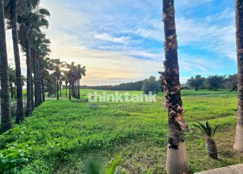 Foto 59 - Rustic SS115 Km4, Vittoria - photo 59