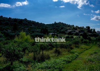 Foto 5 - Rustic Via della ginestra, Avola - photo 5