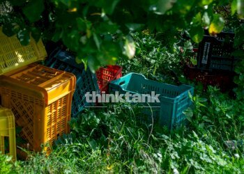 Foto 16 - Rustic Via della ginestra, Avola - photo 16