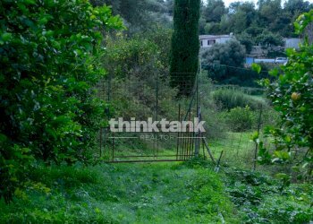 Foto 23 - Rustic Via della ginestra, Avola - photo 23