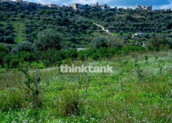 Foto 41 - Rustic Via della ginestra, Avola - photo 41