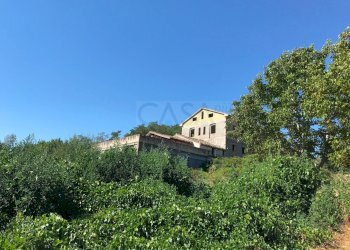 Foto 2 - Rustico Contrada madonna delle piane, Acquaviva Picena - foto 2