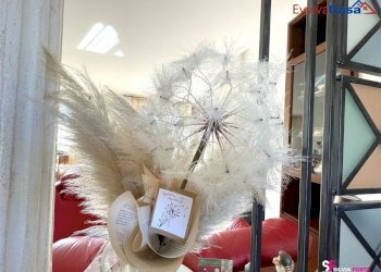 Appartamento Via Berta 6, Ostra - foto 12