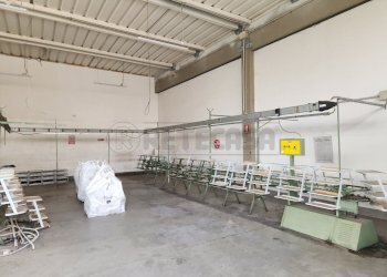 20260127_143426.jpg - Locale Commerciale Via Mulinaccio, Montopoli in Val d'Arno - foto 2