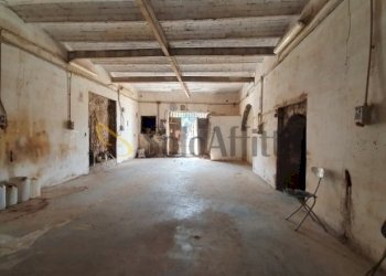 20200924_120728.jpg - Magazzino Via Sciadonna, Frascati - foto 3