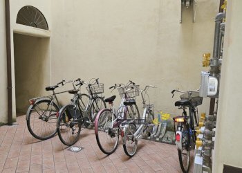 20250430_100619.jpg - One-room apartment Via Felice Cavallotti 44, Parma - photo 5