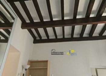 20250430_101230.jpg - One-room apartment Via Felice Cavallotti 44, Parma - photo 20