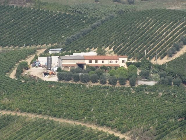 Farm Ripatransone - photo 2