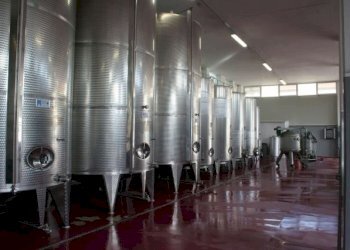 Cantina - Azienda agricola Ripatransone - foto 1