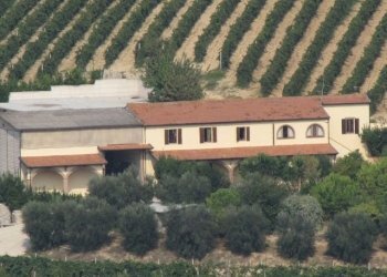 Azienda agricola Ripatransone - foto 3