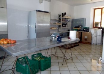 Ripatransone- Azienda Agricola Loale da lavoro.jpg - Azienda agricola Ripatransone - foto 5