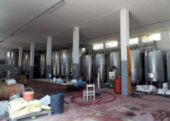 Ripatransone- Azienda Agricola Cantina nuova.jpg - Azienda agricola Ripatransone - foto 10
