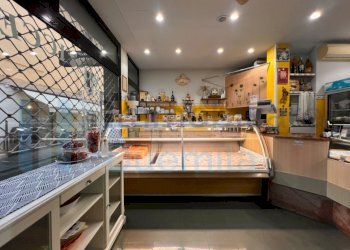 IMMAGINE03-ink.jpeg - Non Alimentare Sasso Marconi - foto 3