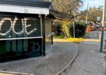 IMMAGINE10-ink.jpeg - Ristorante Bologna - foto 10