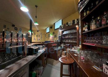 IMMAGINE08-ink.jpeg - Bar Tavola Calda - Fredda Casalecchio di Reno - foto 8