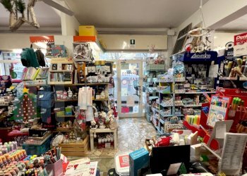 IMMAGINE12-ink.jpeg - Non Alimentare Monte San Pietro - foto 12