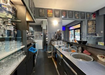 IMMAGINE10-ink.jpeg - Bar Tavola Calda - Fredda Bologna - foto 10