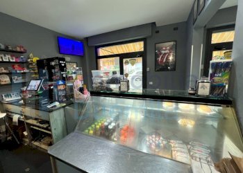 IMMAGINE14-ink.jpeg - Bar Tavola Calda - Fredda Bologna - foto 14