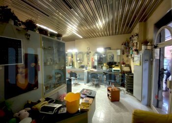 IMMAGINE04-ink.jpeg - Non Alimentare Bologna (zona Centro Storico) - foto 4