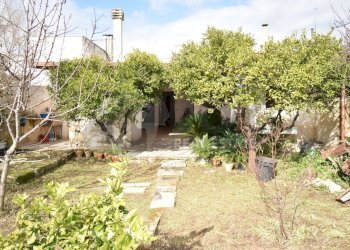 4.JPG - Casa indipendente Via Montello 28, Zollino - foto 4