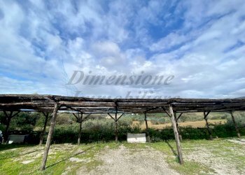 photo_1_2026-02-02_17-12-21.jpg - Appartamento Via del Commercio Sud, Santa Luce - foto 23