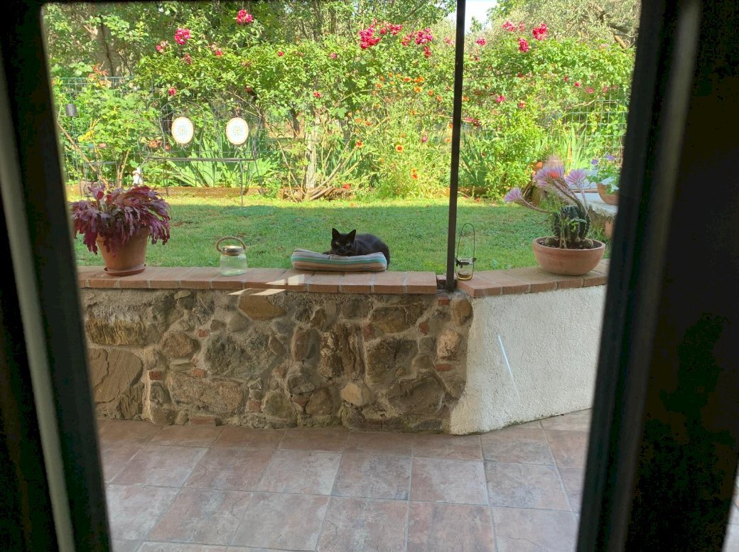 Immagine 2026-01-09 092504.png - Casa indipendente Castelnuovo Magra - foto 3