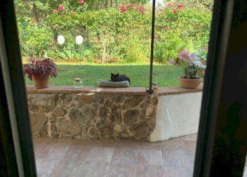 Immagine 2026-01-09 092504.png - Casa indipendente Castelnuovo Magra - foto 3