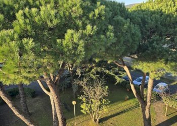 20251206_085608.jpg - Bilocale VIA ALDO MORO, Luni - foto 19