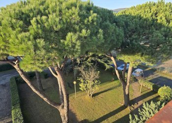 20251206_085613.jpg - Bilocale VIA ALDO MORO, Luni - foto 20