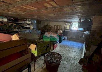 PHOTO-2025-09-19-17-10-15 2.jpg - Villa VIA ORTONA, Ravenna - foto 21