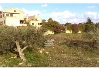 Villa Marsala - foto 15