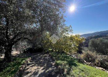 Independent house Regione Tuvi, Taggia - photo 4