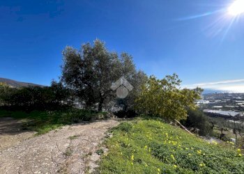 Independent house Regione Tuvi, Taggia - photo 7