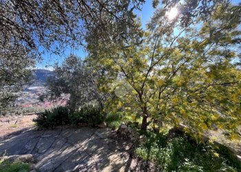 Independent house Regione Tuvi, Taggia - photo 27