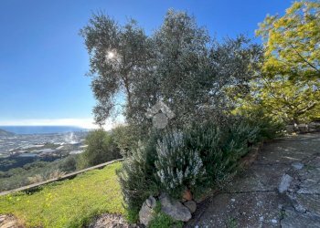 Independent house Regione Tuvi, Taggia - photo 33