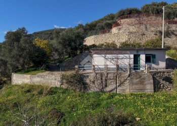 Independent house Regione Tuvi, Taggia - photo 38