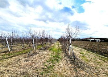 Villa Via Montilgallo, Longiano - foto 13