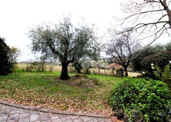 Villa Via Montilgallo, Longiano - foto 14