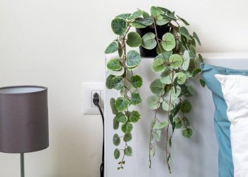 Bilocale Via Luigi Ornato, Milano (zona Niguarda) - foto 18