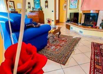 Villa Via Umberto Terracini, Parma (neighborhood Montebello) - photo 12